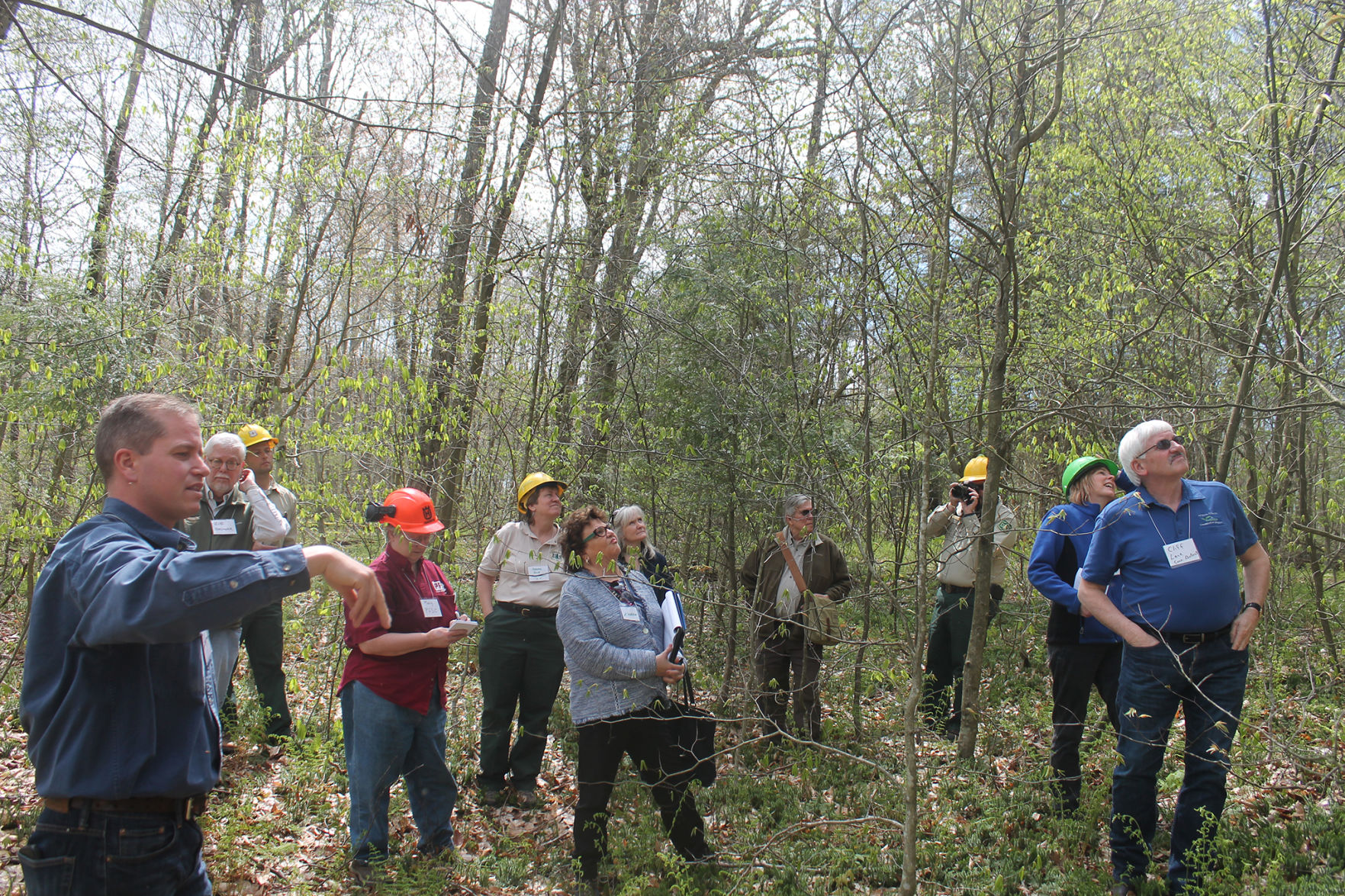Allegheny Forest Health Collaborative